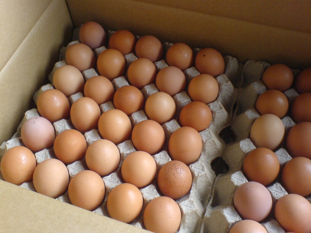 Где Можно Купить Инкубационное Яйцо Куриное
