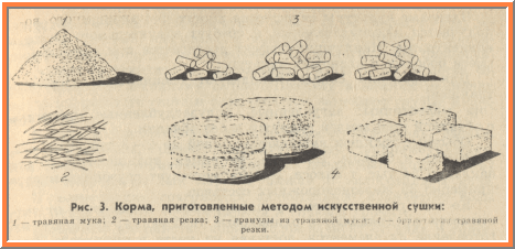 корма искусственной сушки, рисунок