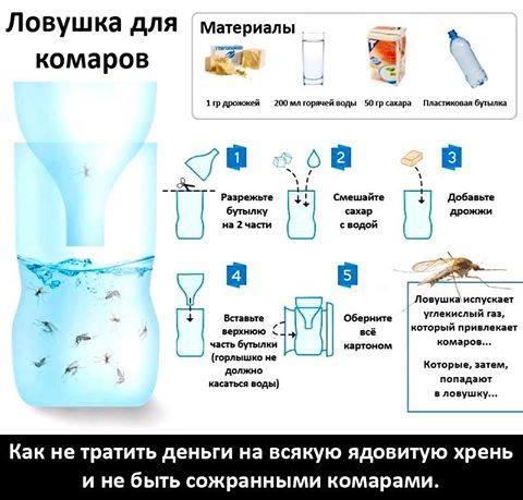 Изготовление ловушки для комаров без ядов