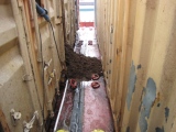  О нарушениях при перевозке племенного крупного рогатого скота из США морским транспортом в переоборудованных контейнерах