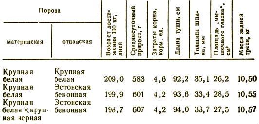  Откормочные и мясные качества помесного молодняка в сравнении с чистопородным при двух- и трехпородном скрещивании