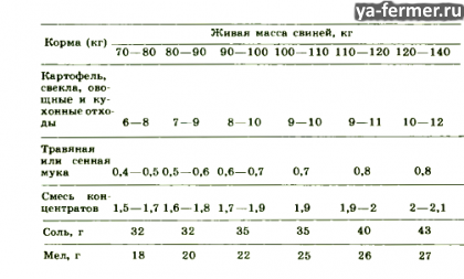 Приблизительные суточные рационы питания свиней в осенне-зимний промежуток времени, которые рассчитаны на одну свинью.