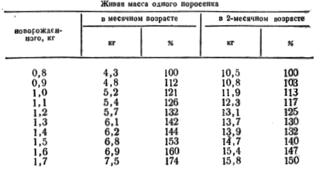 Рост поросят до 2 месячного возраста в зависимости от их живой массы при рождении
