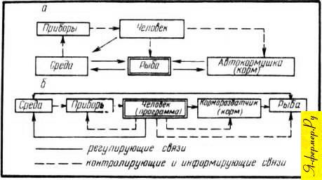 Принципиальные схемы механизации кормления рыб