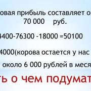 Выгодно ли содержать корову